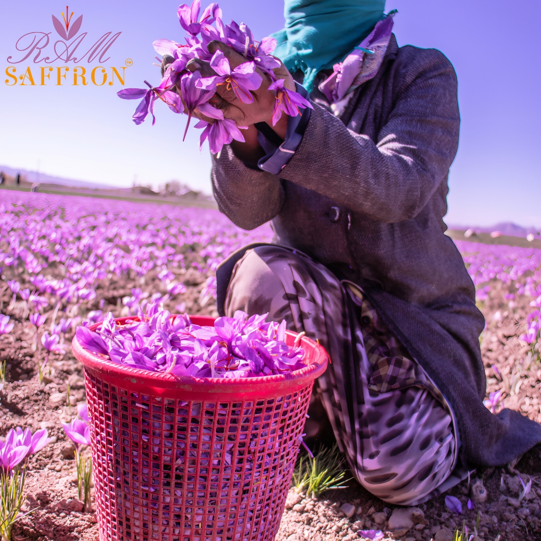 Hand holding purple petals over a wicker basket